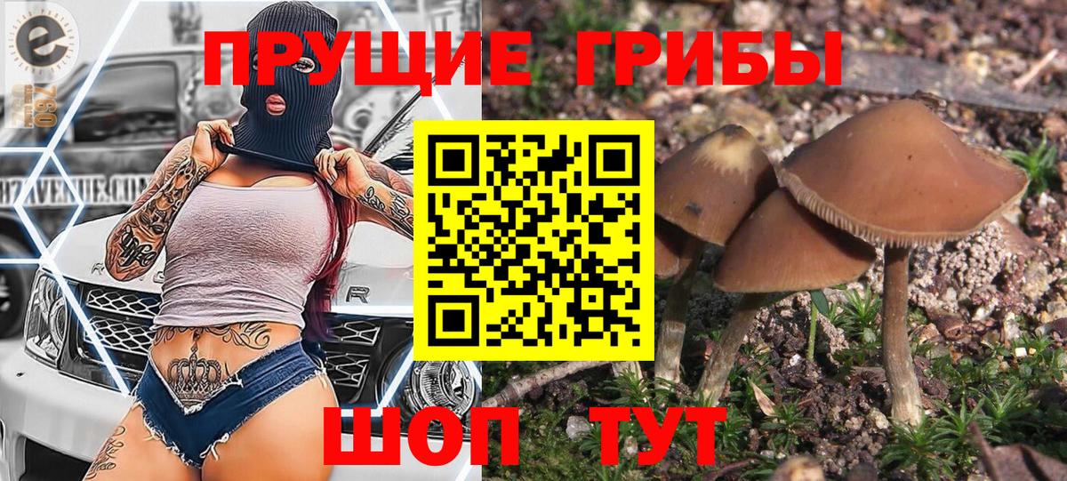 Заводоуковск  Галлюциногенные грибы Magic Shrooms  Вход с VPN  Псилоцибиновые грибы Psilocybe 