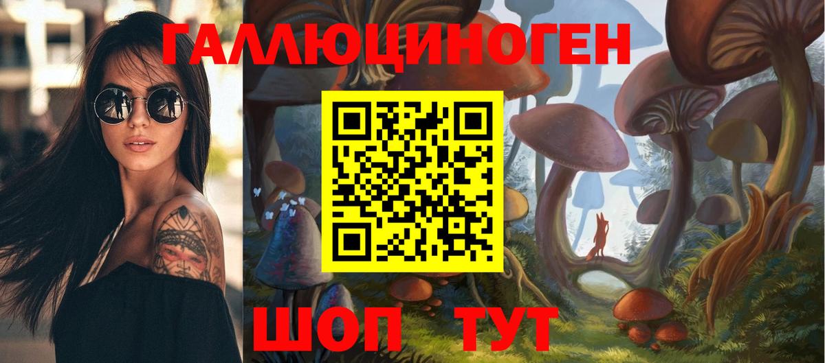 Псилоцибиновые грибы Cubensis Заводоуковск